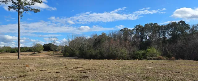$64,900 | 199 Airline Highway, Tylertown, MS 39667
