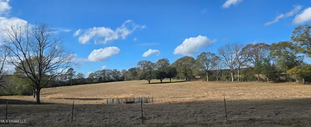 $64,900 | 199 Airline Highway, Tylertown, MS 39667