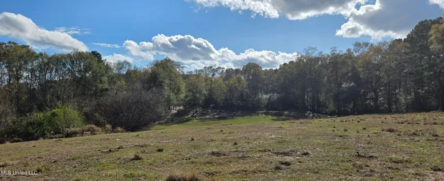 $64,900 | 199 Airline Highway, Tylertown, MS 39667