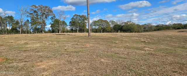 $64,900 | 199 Airline Highway, Tylertown, MS 39667