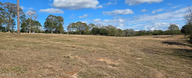 $64,900 | 199 Airline Highway, Tylertown, MS 39667