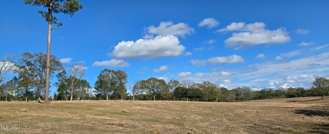 $64,900 | 199 Airline Highway, Tylertown, MS 39667