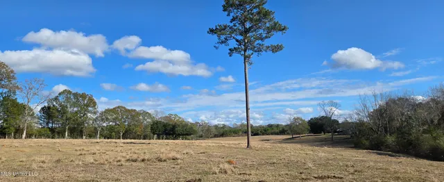 $64,900 | 199 Airline Highway, Tylertown, MS 39667