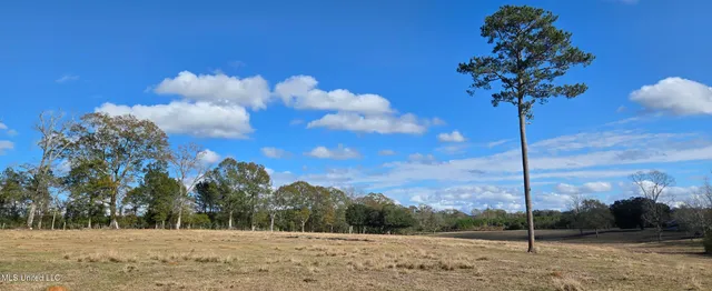 $64,900 | 199 Airline Highway, Tylertown, MS 39667