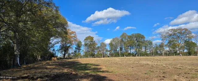 $64,900 | 199 Airline Highway, Tylertown, MS 39667