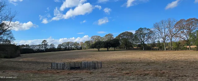 $64,900 | 199 Airline Highway, Tylertown, MS 39667