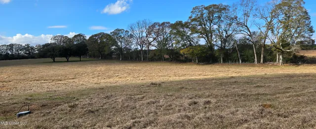 $64,900 | 199 Airline Highway, Tylertown, MS 39667