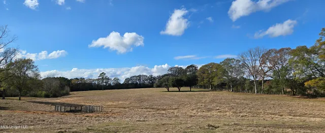 $64,900 | 199 Airline Highway, Tylertown, MS 39667