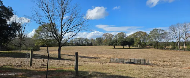 $64,900 | 199 Airline Highway, Tylertown, MS 39667