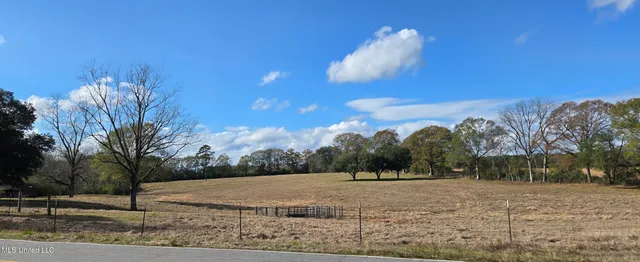 $64,900 | 199 Airline Highway, Tylertown, MS 39667