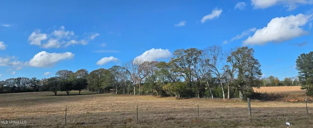 $64,900 | 199 Airline Highway, Tylertown, MS 39667