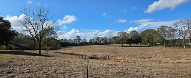 $64,900 | 199 Airline Highway, Tylertown, MS 39667