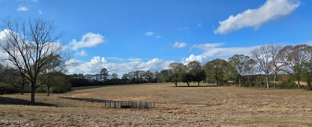 $64,900 | 199 Airline Highway, Tylertown, MS 39667