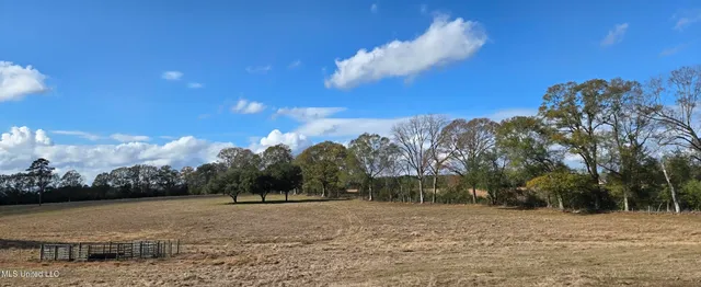 $64,900 | 199 Airline Highway, Tylertown, MS 39667