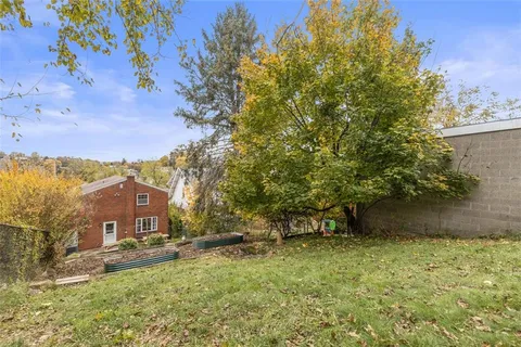 a view of a yard with plants and a bench