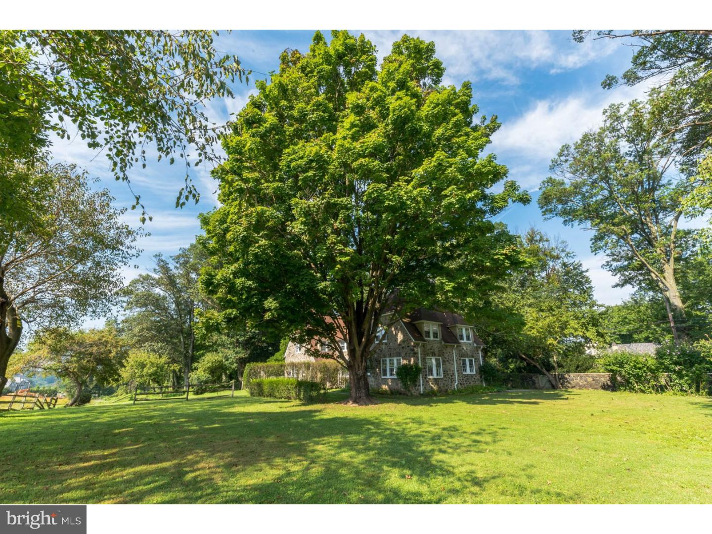 767-769 Newtown Road Villanova, PA 19085 - Photo 8 of 15