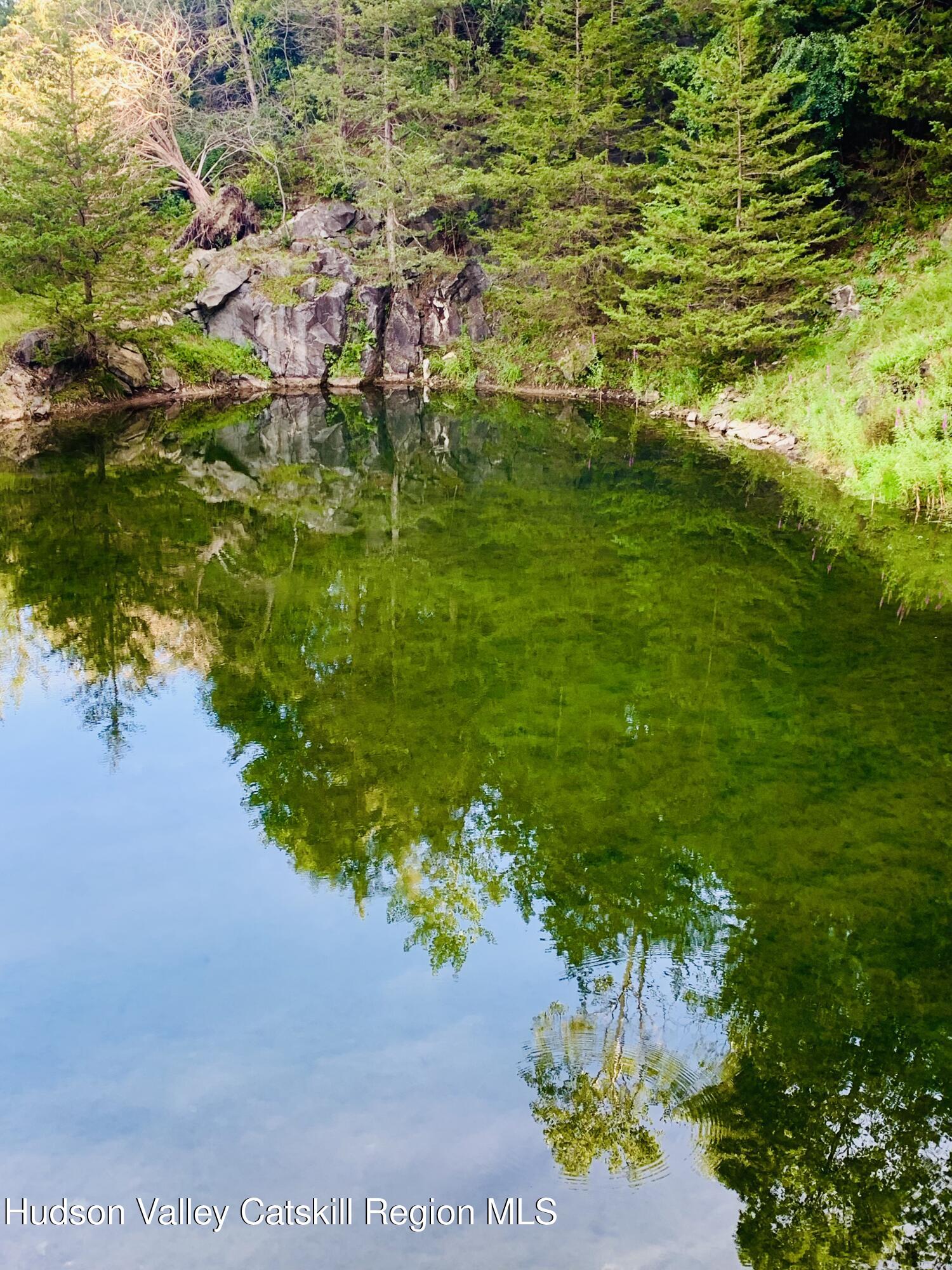 340 Old Rte 22 Amenia, NY 12592 - Photo 20 of 21 04.Pond_01