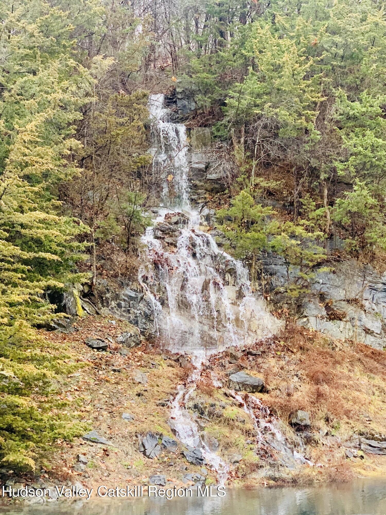 340 Old Rte 22 Amenia, NY 12592 - Photo 2 of 21 19.Pond_spring_02