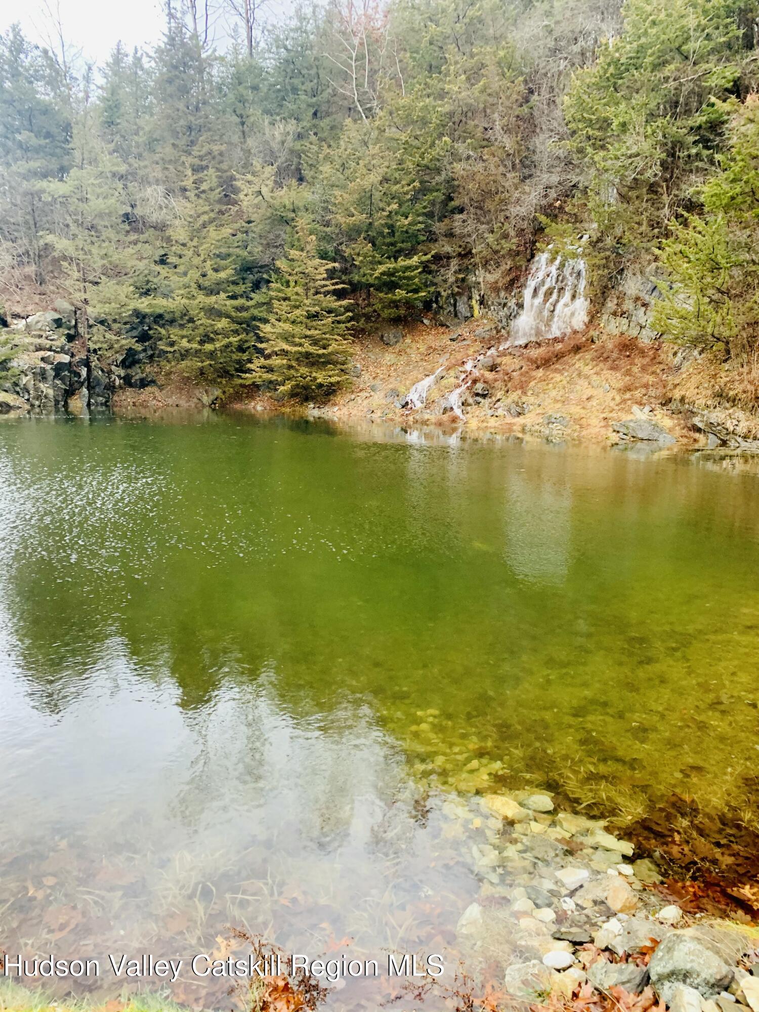 340 Old Rte 22 Amenia, NY 12592 - Photo 3 of 21 18.Pond_spring_01