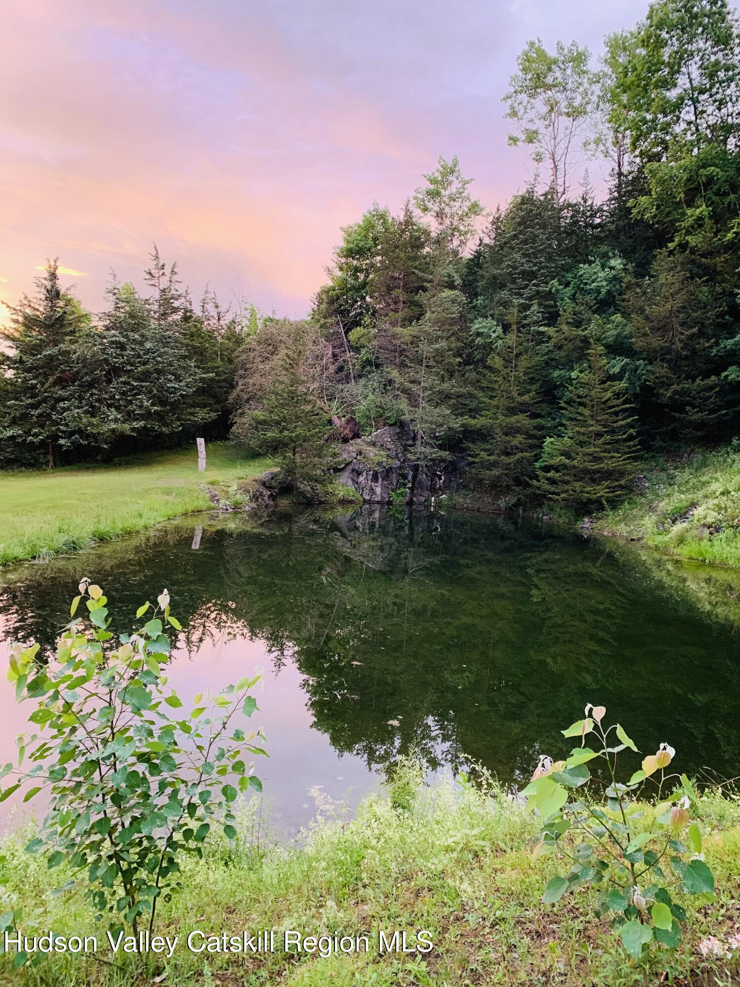 340 Old Rte 22 Amenia, NY 12592 - Photo 4 of 21 05.Pond_02