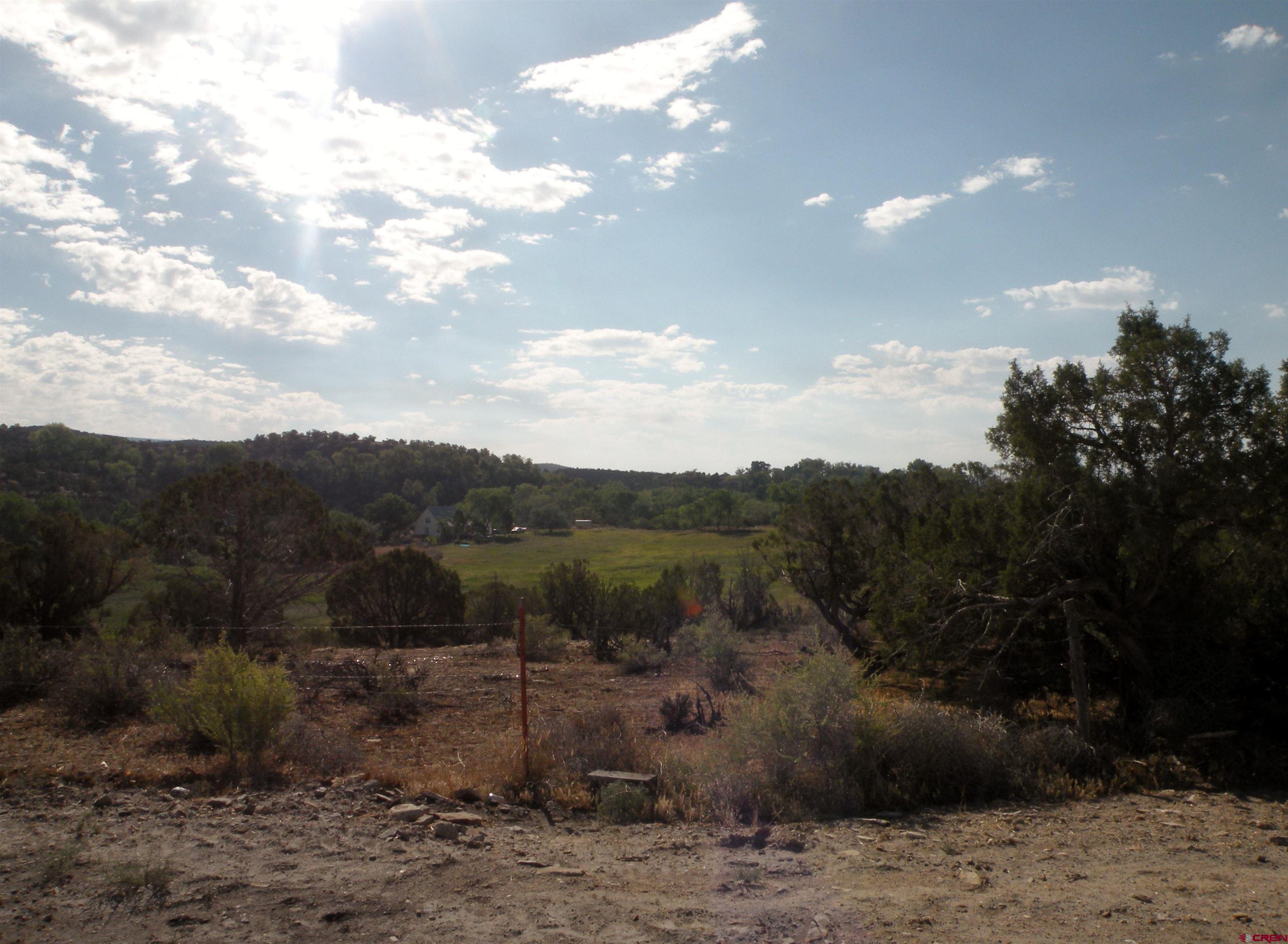 28149 BB Road Nucla, CO 81424 - Photo 7 of 29