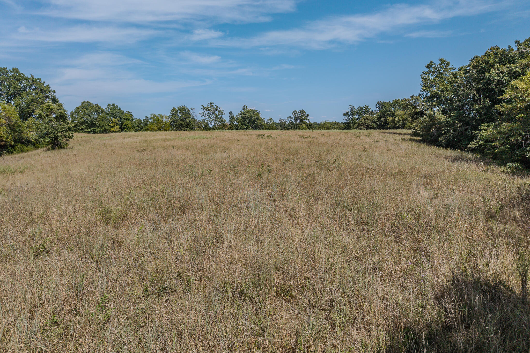 0 White Clover Road Strafford, MO 65757 - Photo 22 of 38 Aerial