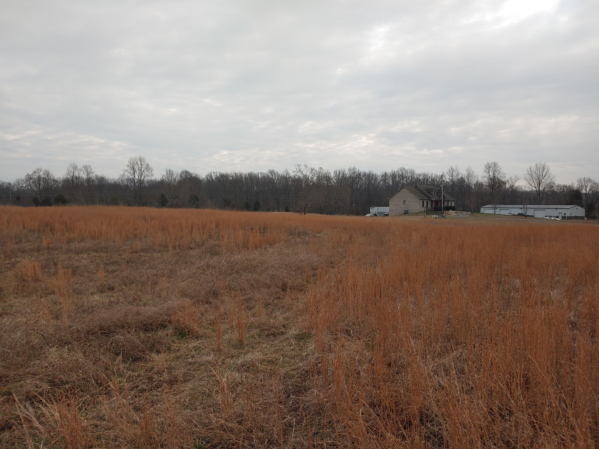 0 Joe Mac Lipscomb Road Springfield, TN 37172 - Photo 2 of 15 a view of lake