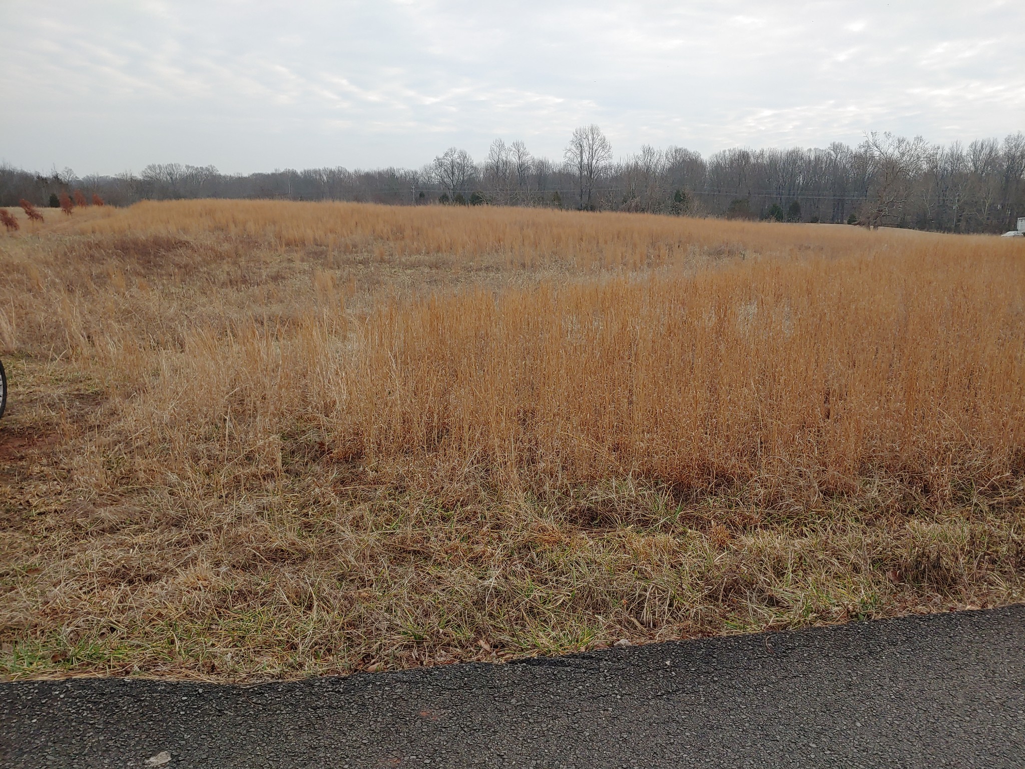 0 Joe Mac Lipscomb Road Springfield, TN 37172 - Photo 11 of 15