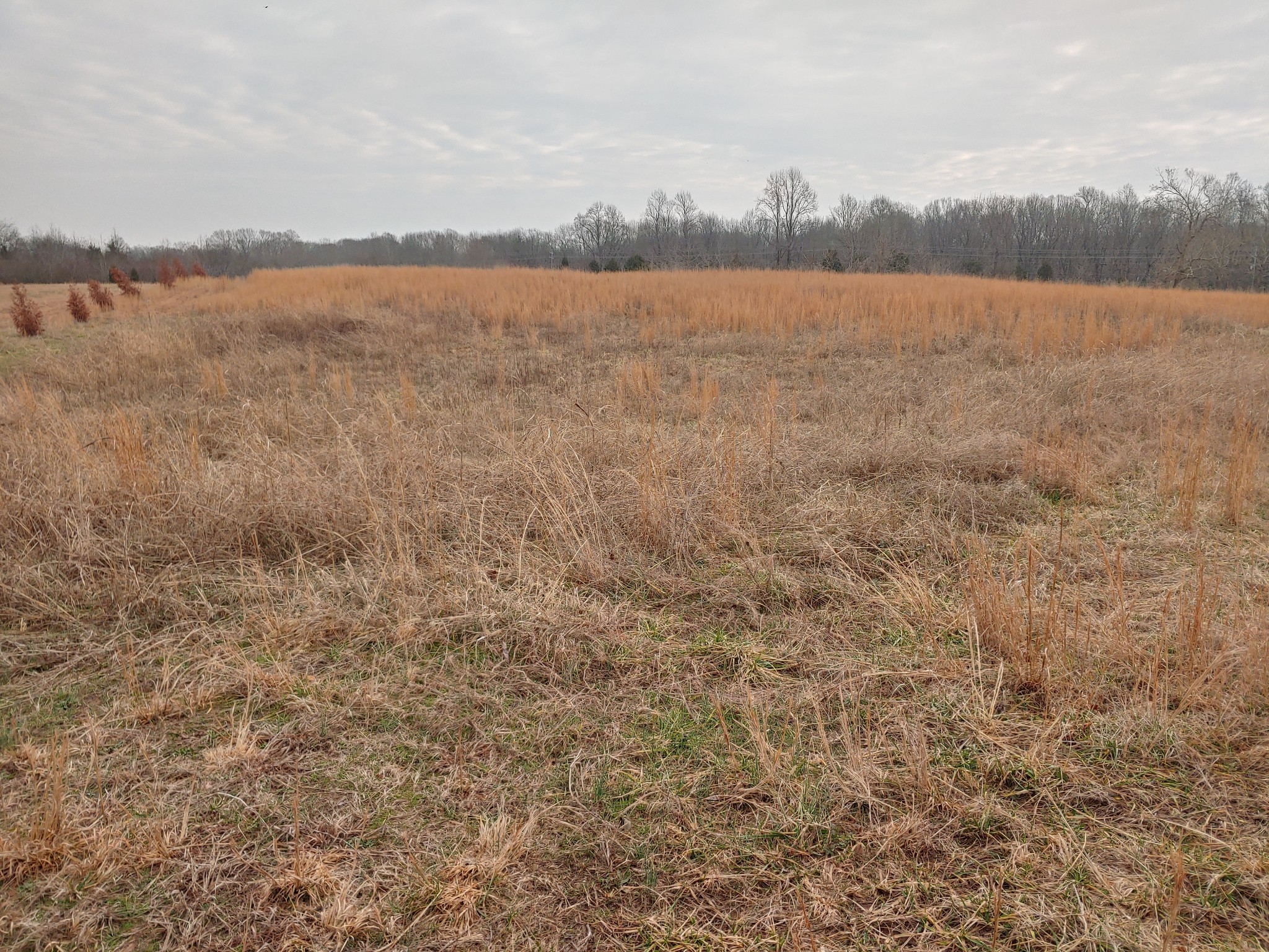 0 Joe Mac Lipscomb Road Springfield, TN 37172 - Photo 12 of 15 a view of lake and mountain