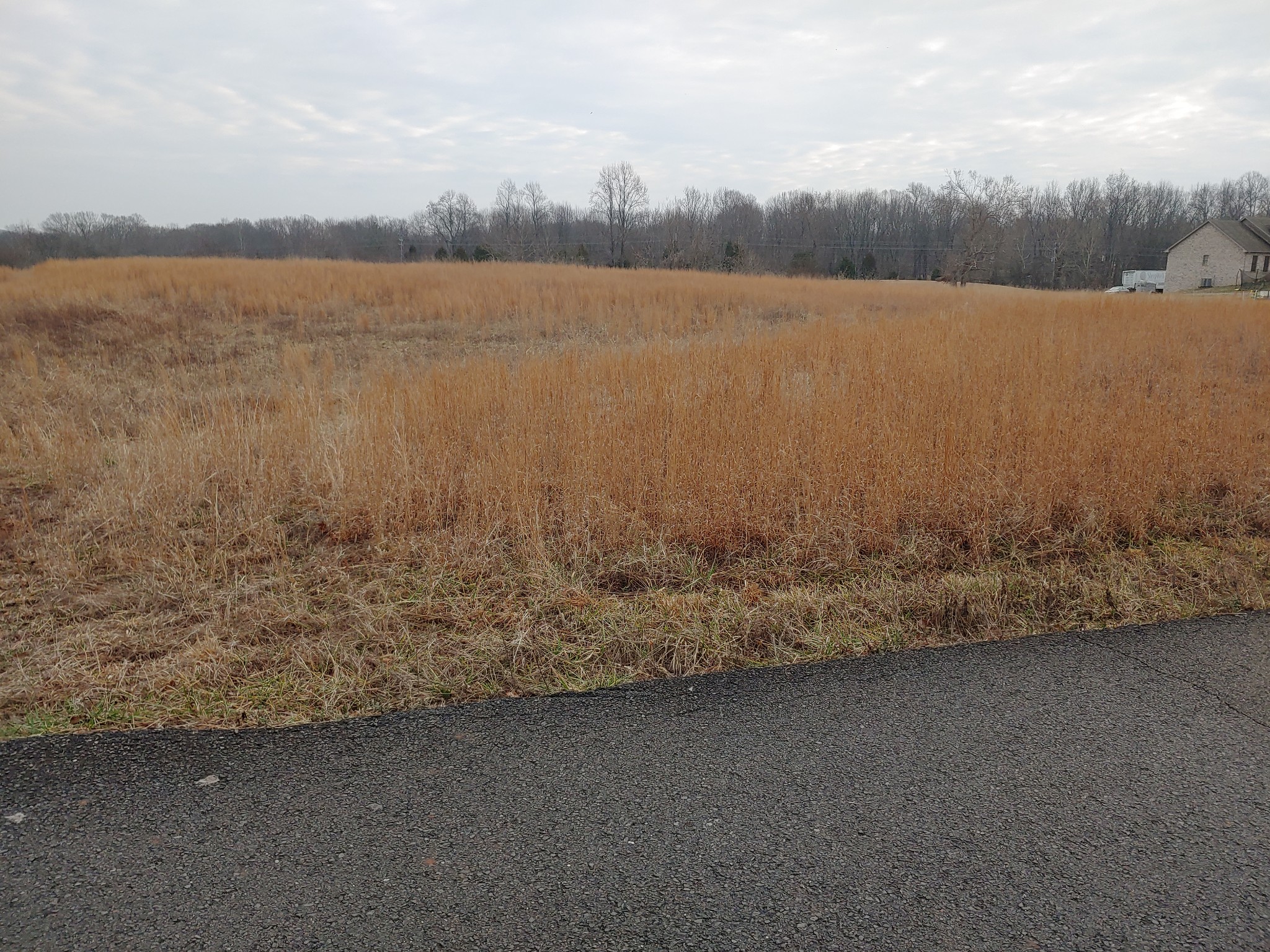 0 Joe Mac Lipscomb Road Springfield, TN 37172 - Photo 13 of 15 a view of lake