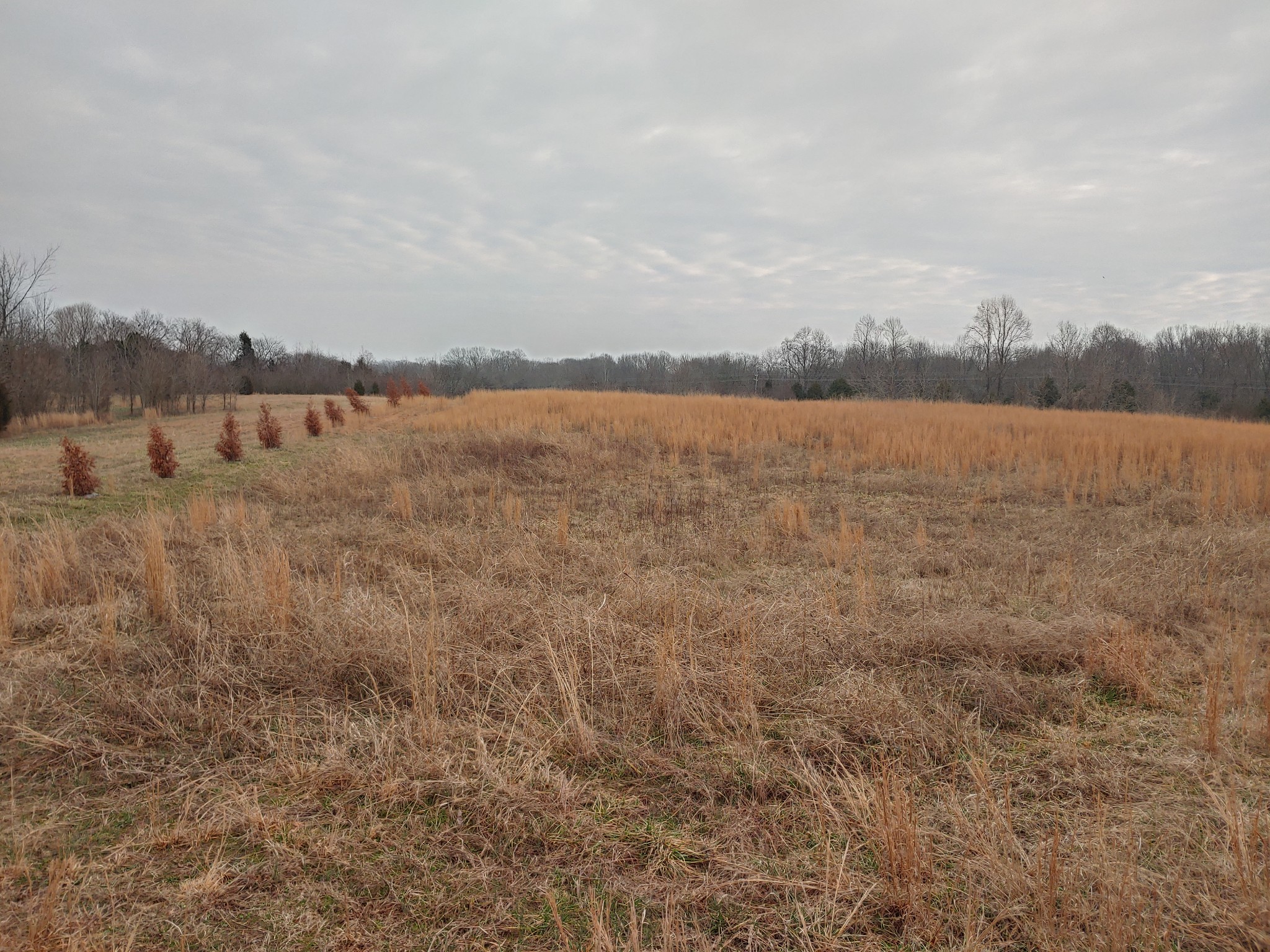 0 Joe Mac Lipscomb Road Springfield, TN 37172 - Photo 5 of 15 a view of lake