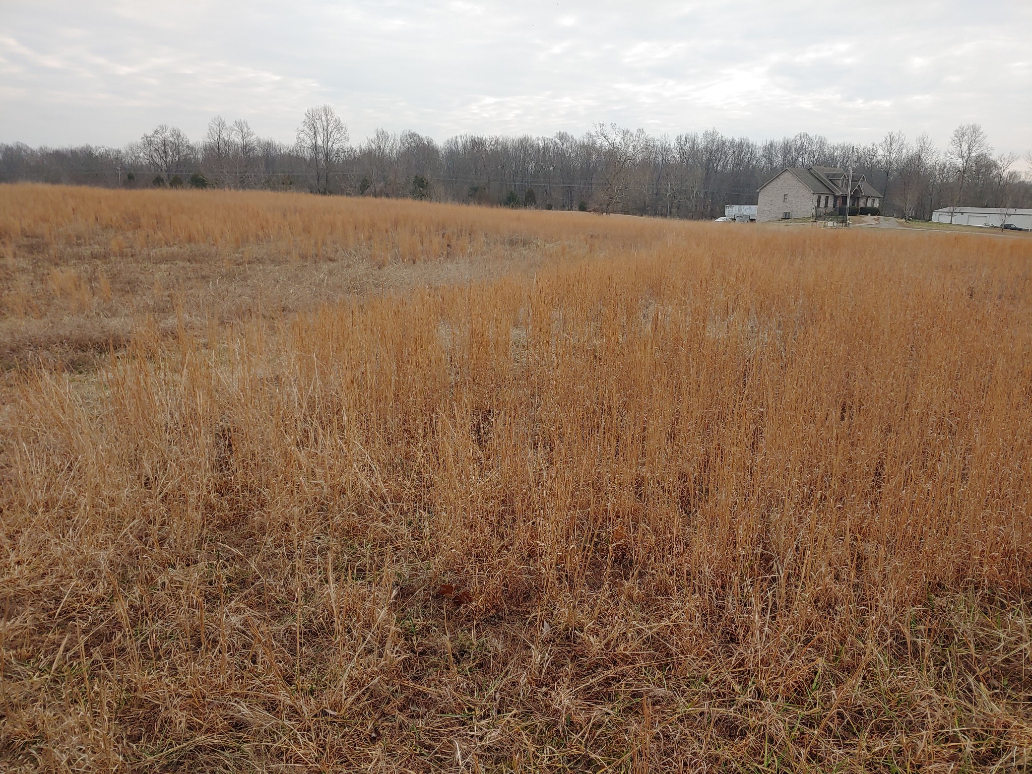 0 Joe Mac Lipscomb Road Springfield, TN 37172 - Photo 6 of 15 a view of lake