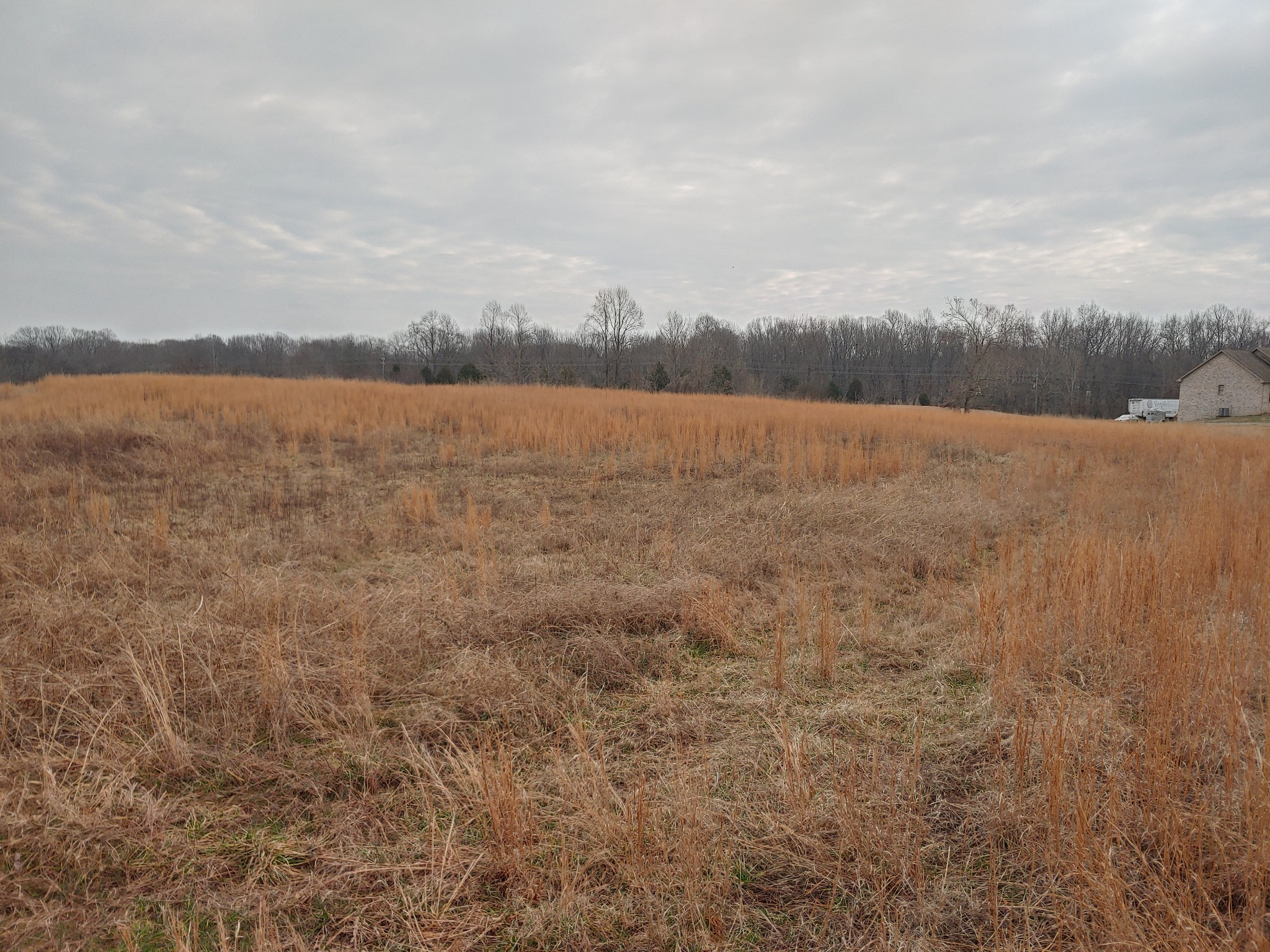 0 Joe Mac Lipscomb Road Springfield, TN 37172 - Photo 7 of 15 a view of lake