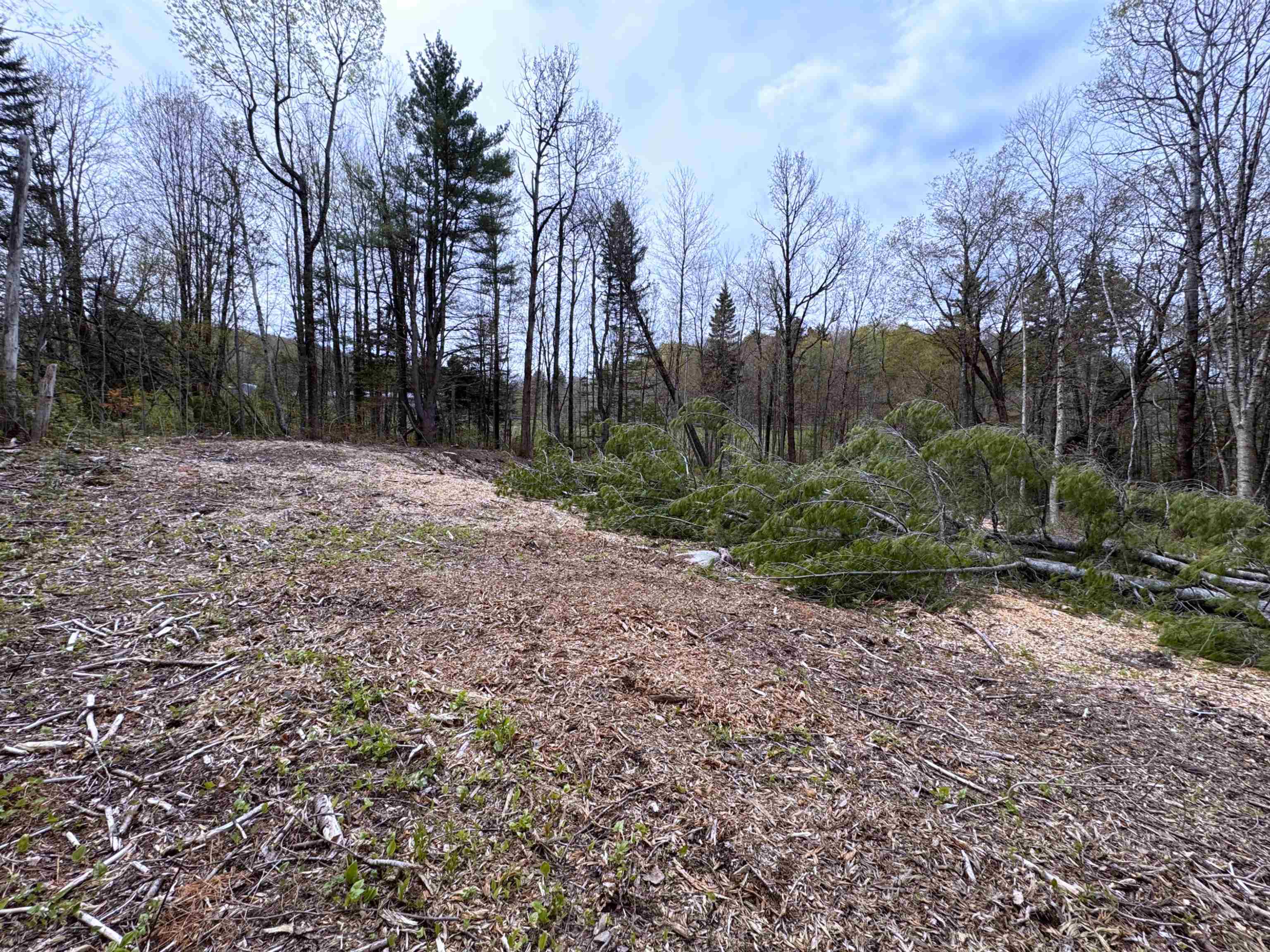 169 Sun And Ski Road Wilmington, VT 05363 - Photo 7 of 43