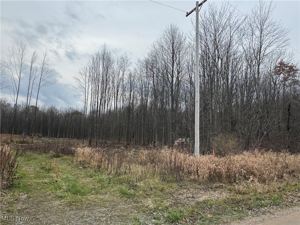 Root Road Conneaut, OH 44030 - Photo 5 of 7