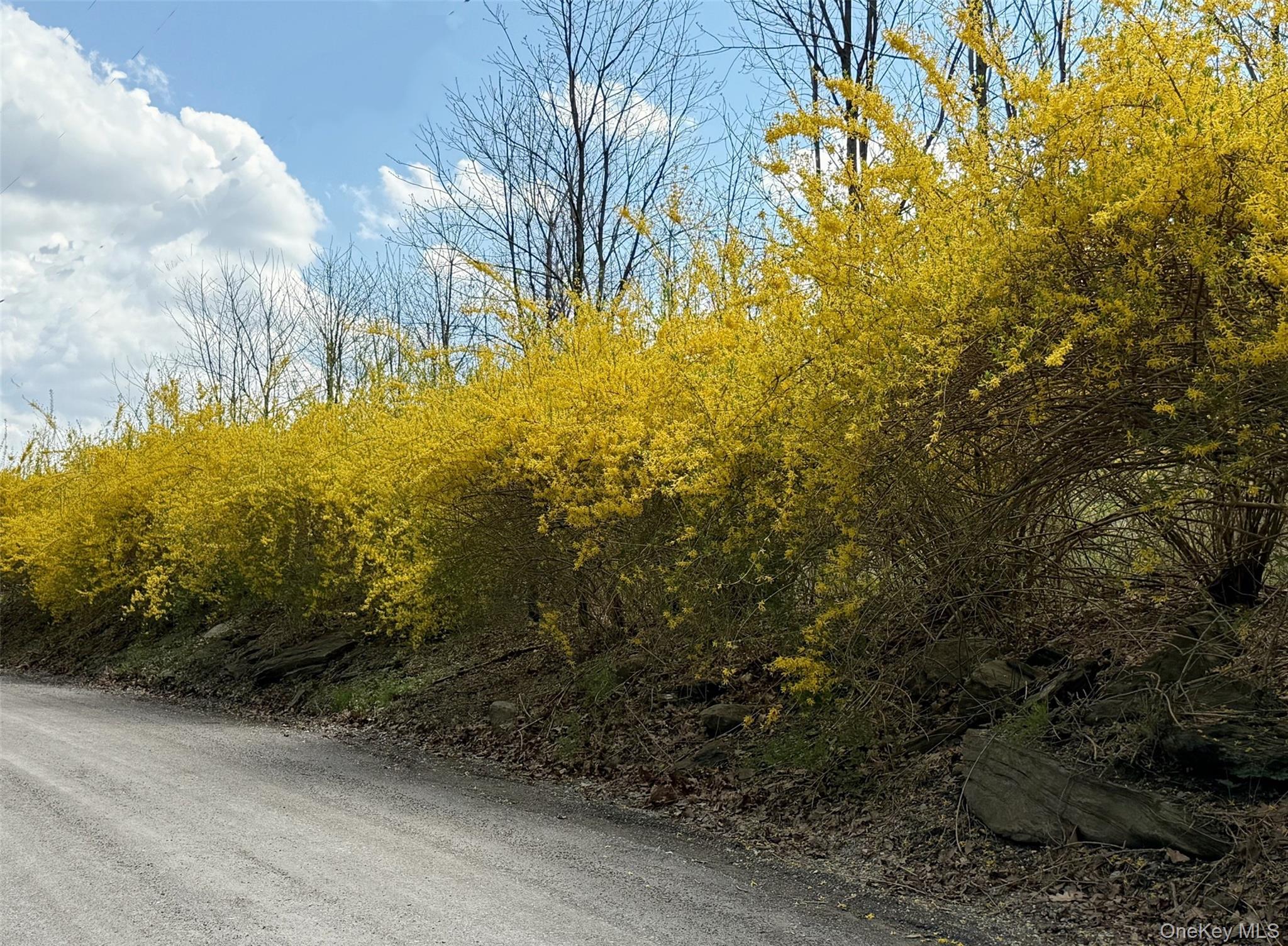 230 Cooper Road Millerton, NY 12546 - Photo 20 of 20 a view of a yard