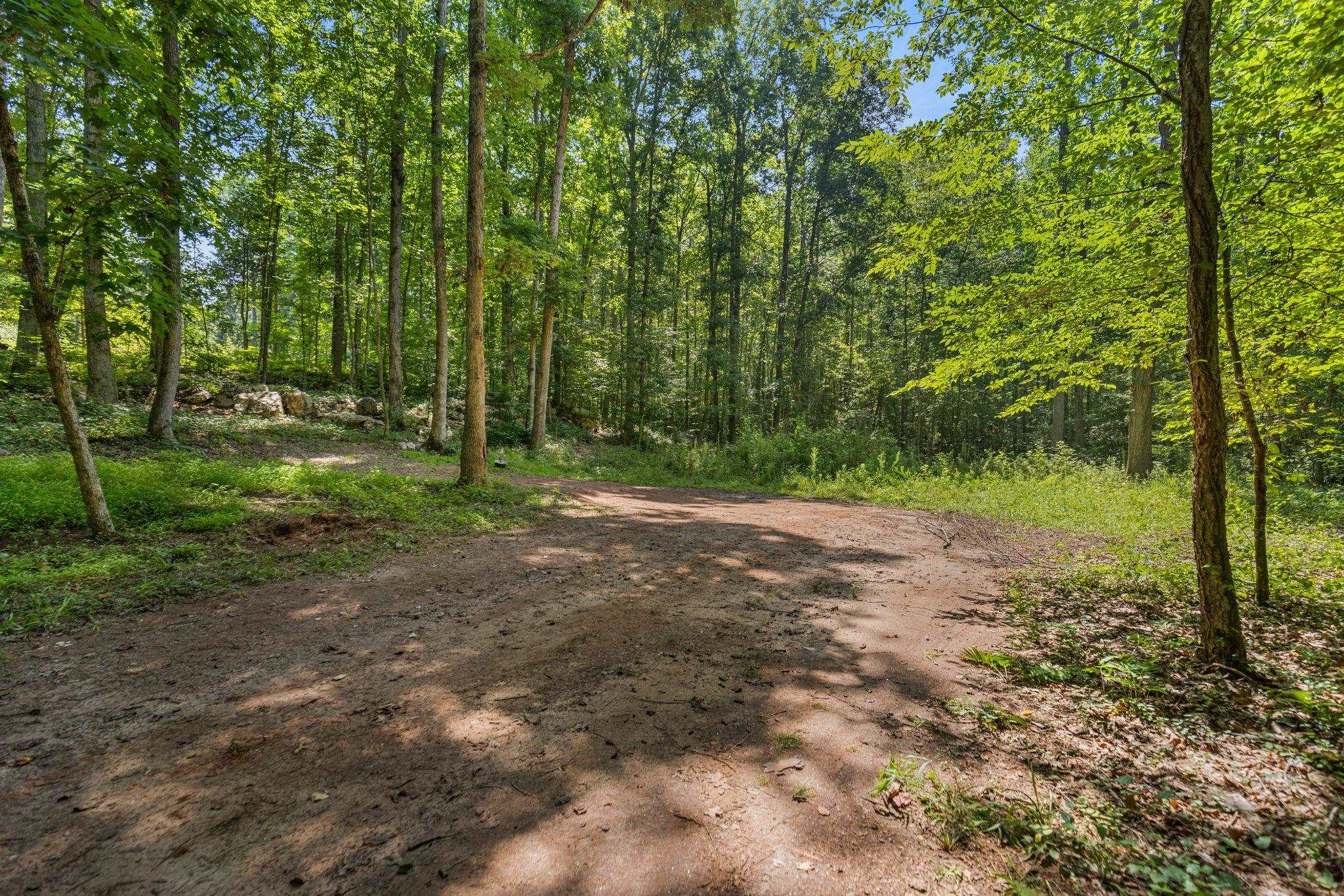 637 Odell Road Liberty, SC 29657 - Photo 15 of 19