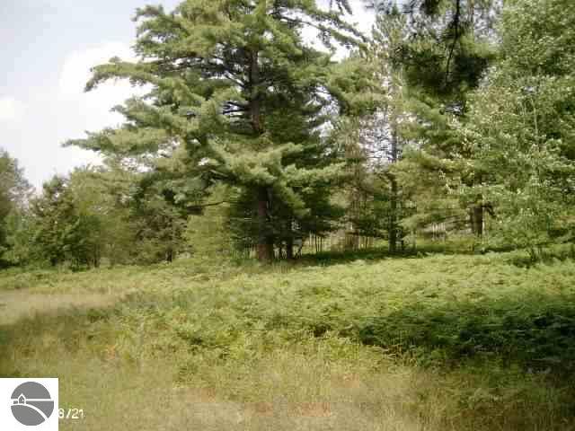 4071 North 41 Road Manton, MI 49663 - Photo 3 of 14 1696845-2.JPG