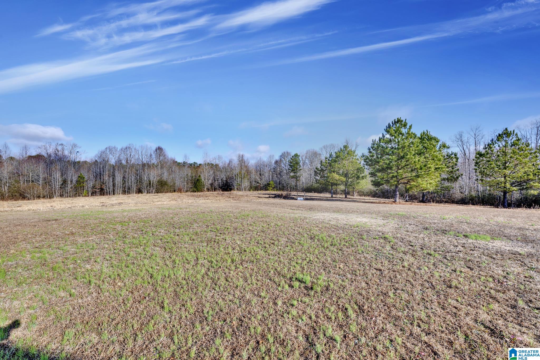 941 Hamm Road Blountsville, AL 35031 - Photo 36 of 67