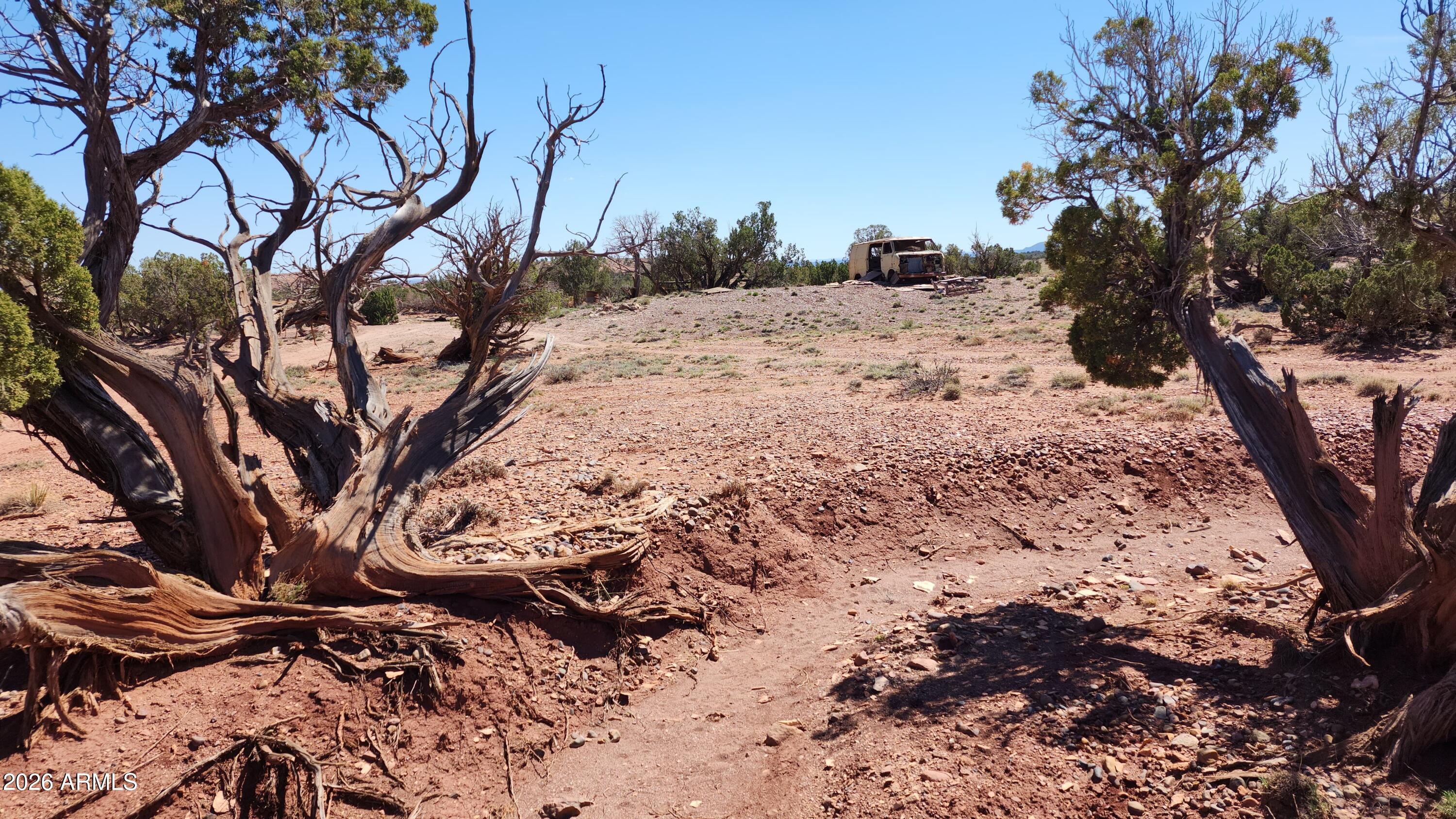0 Th, Unit 553B Concho, AZ 85924 - Photo 11 of 12 a view of a dry yard with trees