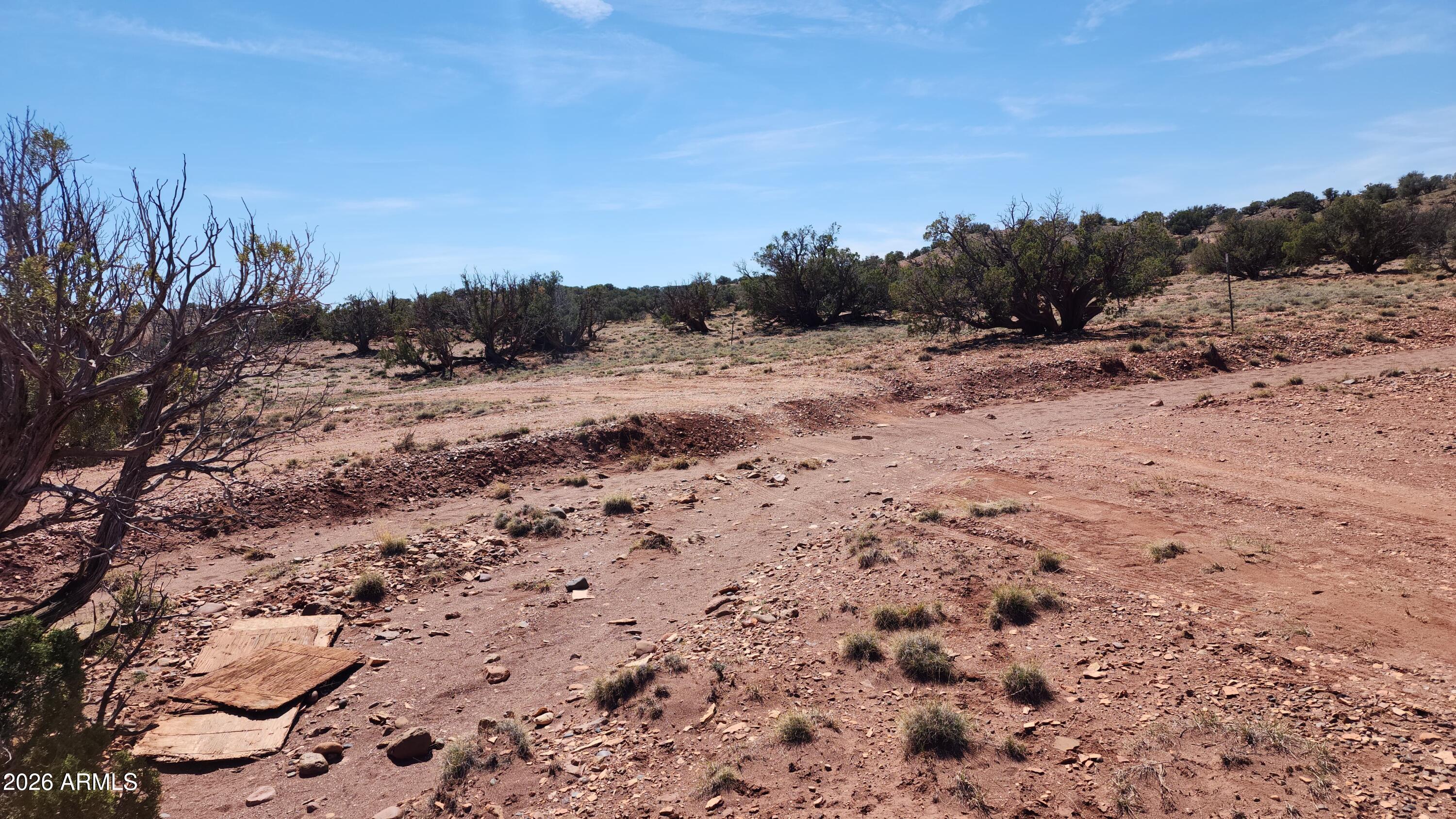 0 Th, Unit 553B Concho, AZ 85924 - Photo 12 of 12 a view of a dry yard with trees in the background