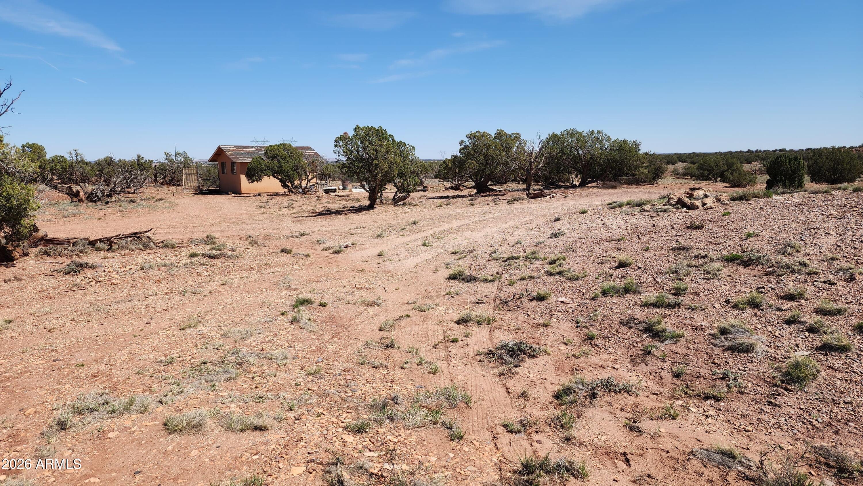 0 Th, Unit 553B Concho, AZ 85924 - Photo 2 of 12 a view of snow covered with snow in the background