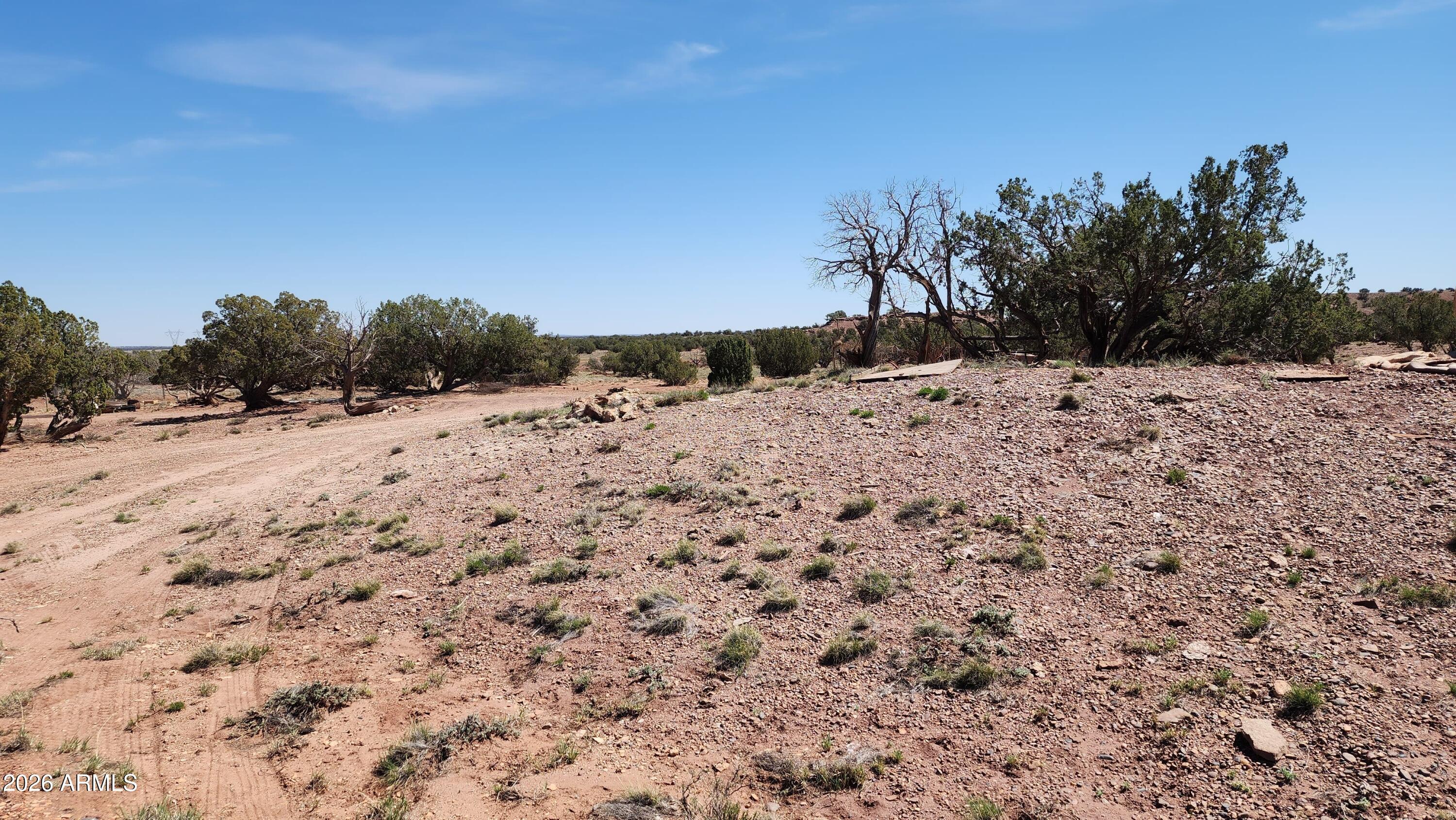 0 Th, Unit 553B Concho, AZ 85924 - Photo 5 of 12 a view of a dry yard with a tree in the background