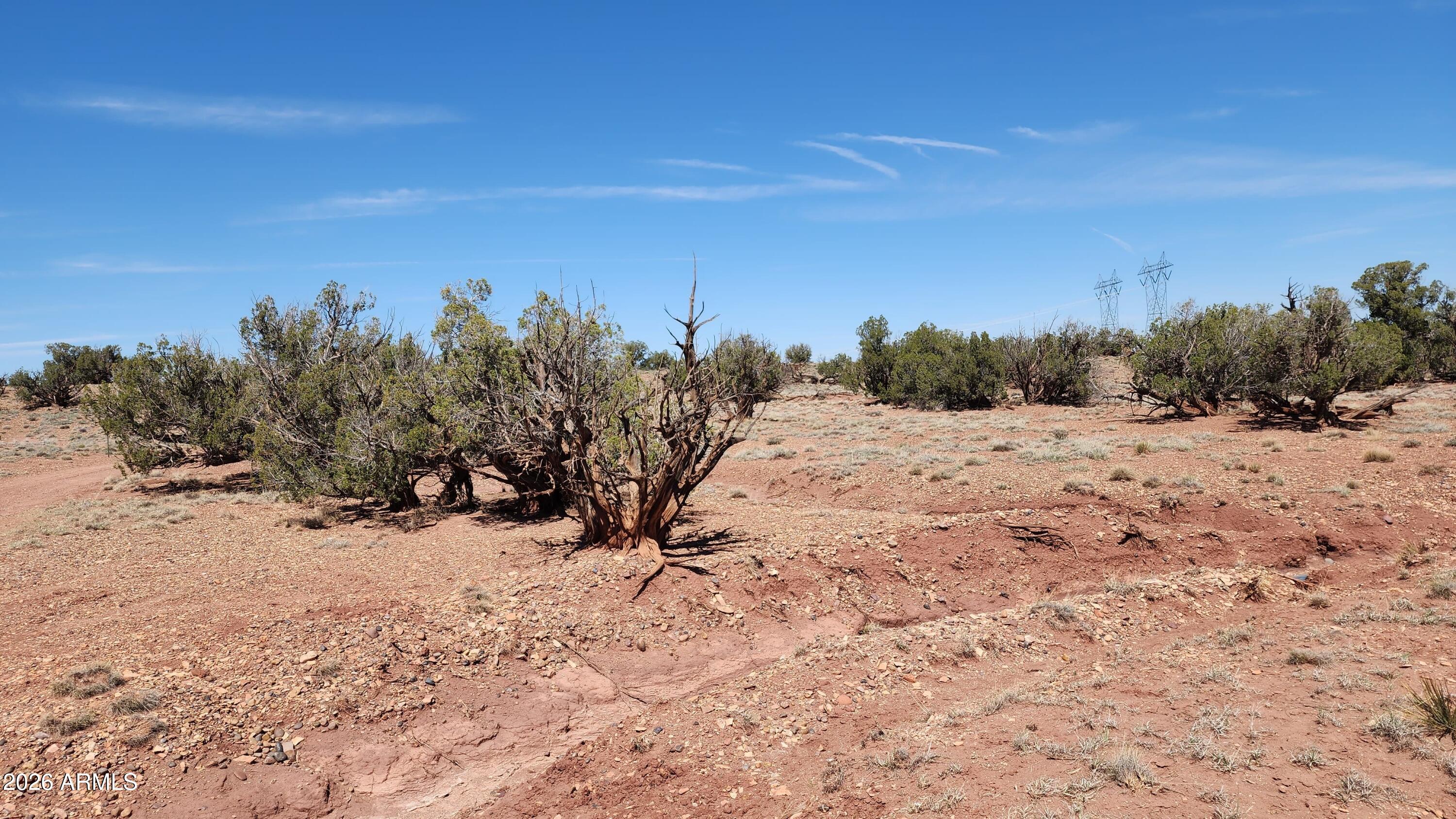 0 Th, Unit 553B Concho, AZ 85924 - Photo 6 of 12 a view of a dry yard with a large tree