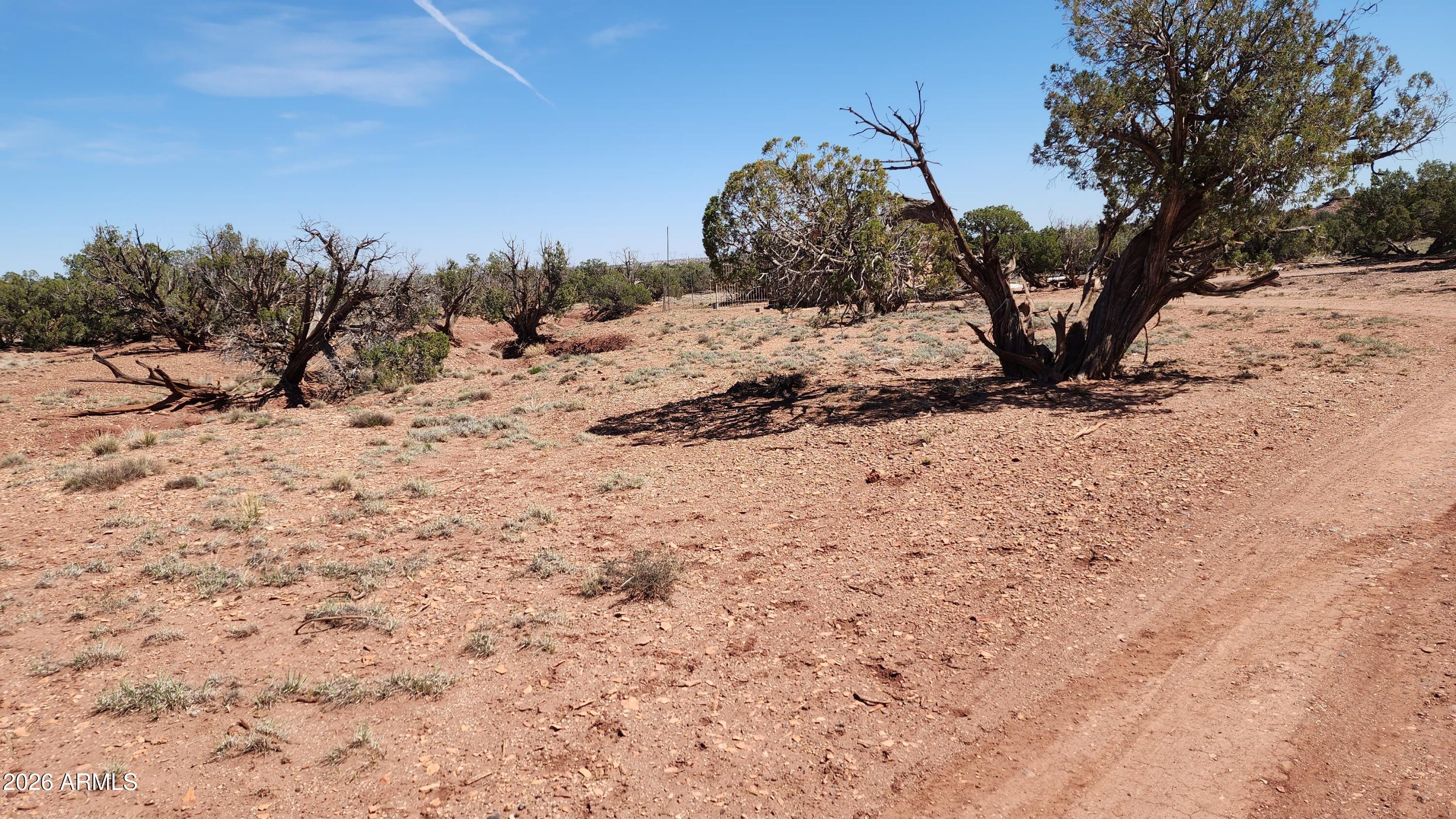 0 Th, Unit 553B Concho, AZ 85924 - Photo 8 of 12 a view of a covered with snow in the background