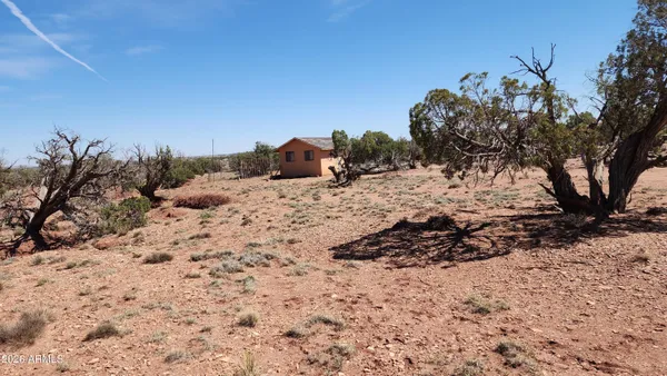 a view of a dry yard with trees