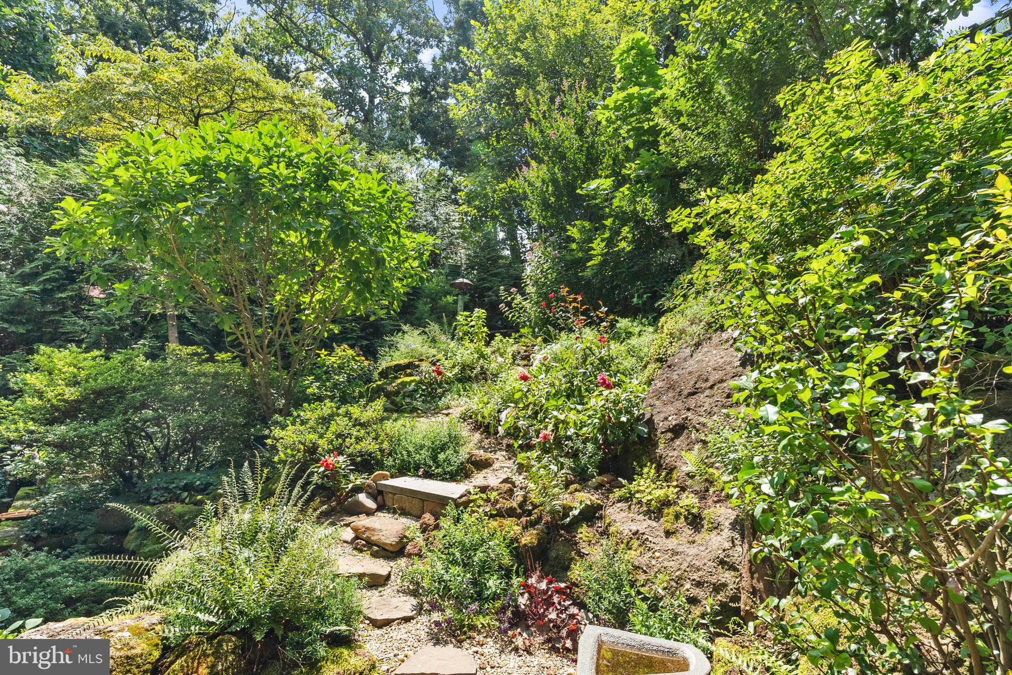 357 Overlook Trail Annapolis, MD 21401 - Photo 6 of 45 a view of a lush green forest