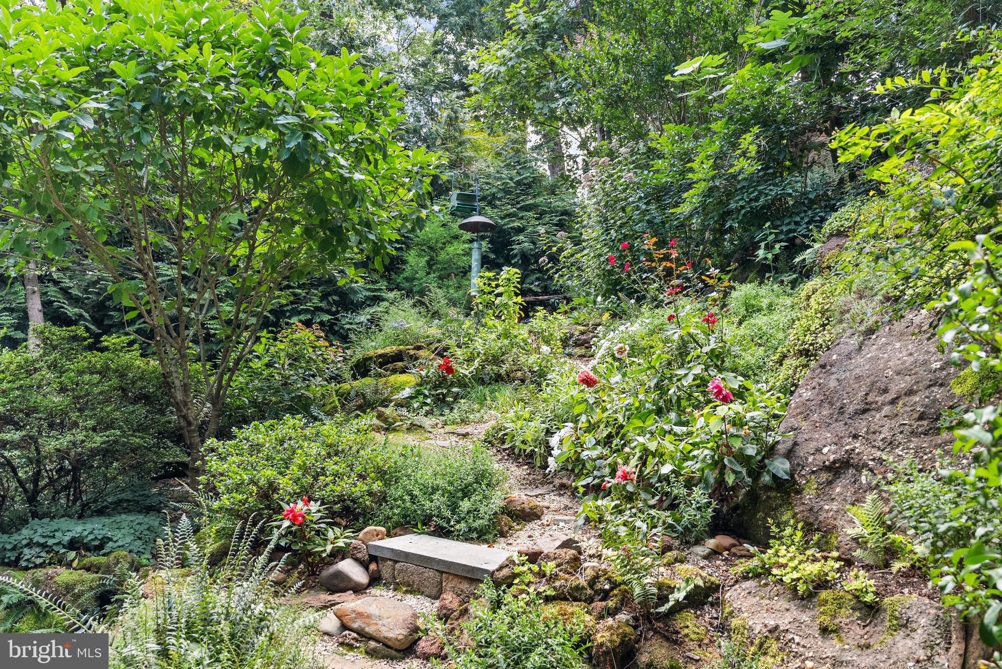 357 Overlook Trail Annapolis, MD 21401 - Photo 7 of 45 a view of a garden with plants and flowers