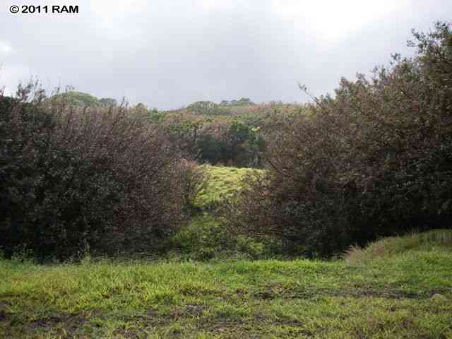 0 Awalau Road, Unit 7 Haiku, HI 96708 - Photo 2 of 16 a view of a green field