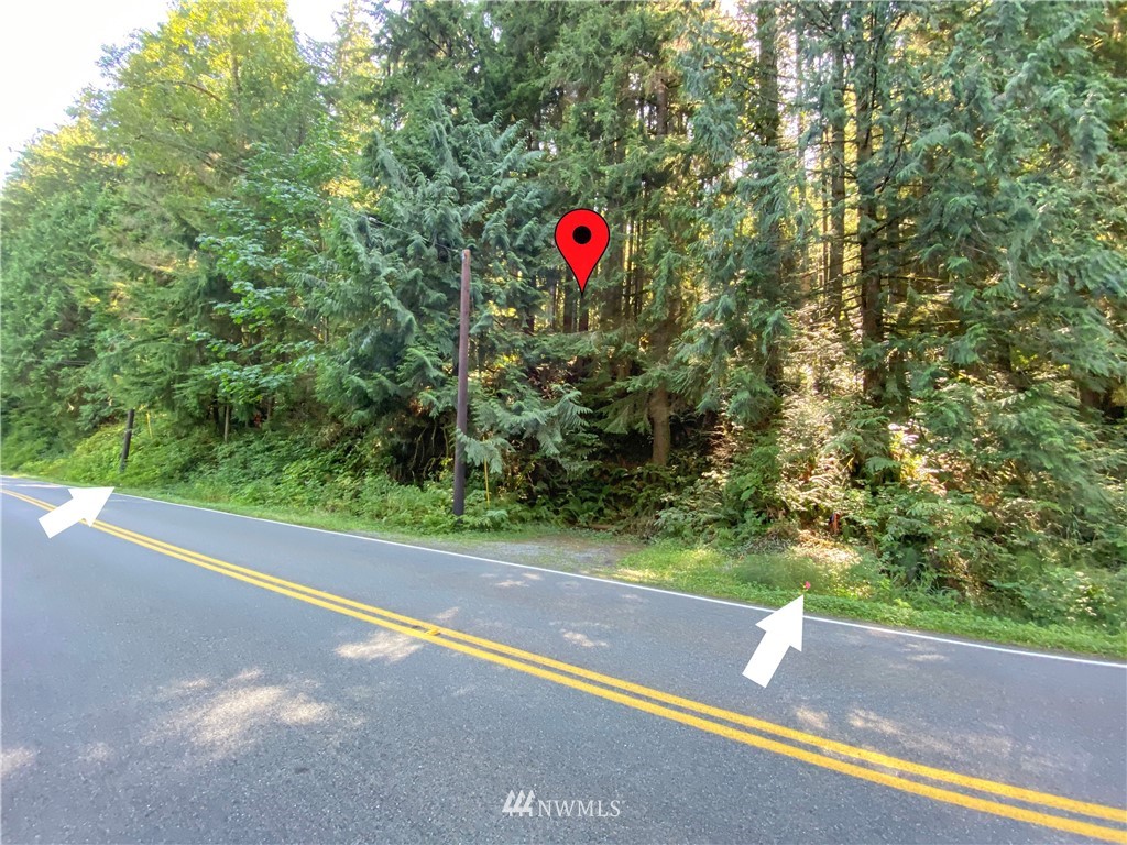 235-xx South Lake Roesiger Road Snohomish, WA 98290 - Photo 1 of 10